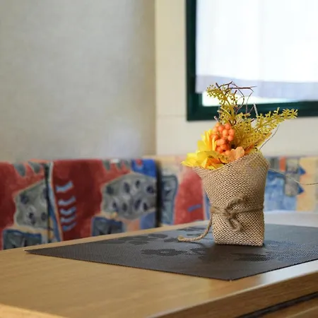 Safari Campingplatz *