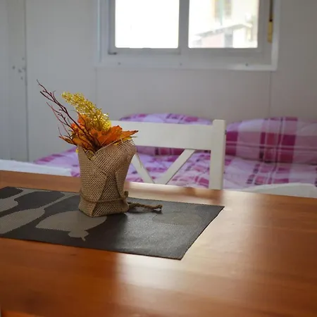 Campingplatz Safari *